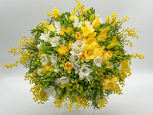  Buchet 101 de frezii albe , galbene si mimosa